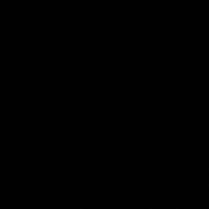 Meet your Posher, Cassidy